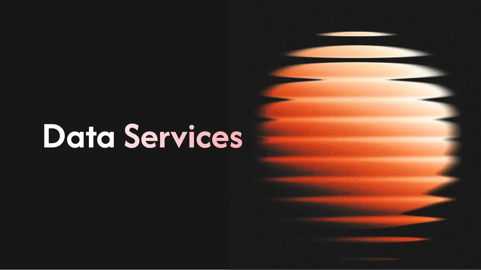 Data Services for Business Growth | VentureDive